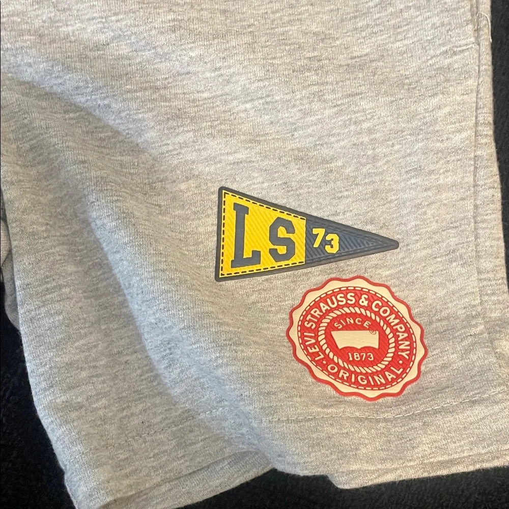Levi's Heather Gray Logo Tee and Shorts Set nwt 3T